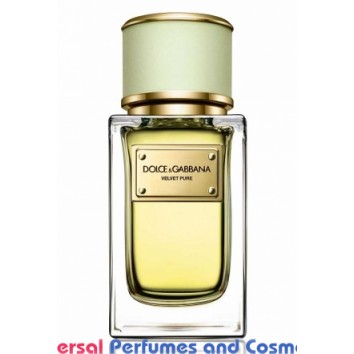 Velvet Pure by Dolce&Gabbana Generic Oil Perfume 50 Grams / 50 ML Only $39.99 (001728)